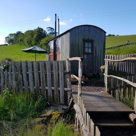 Eco Accommodation Cornflower Craven Arms Zewnętrze zdjęcie