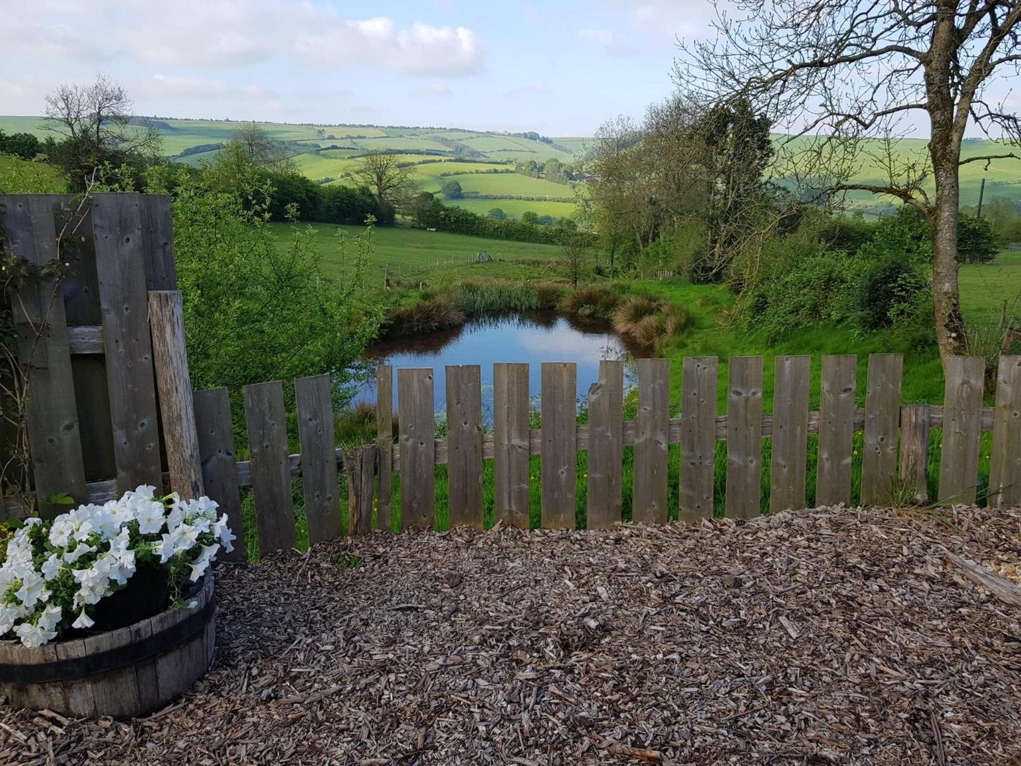 Eco Accommodation Cornflower Craven Arms Zewnętrze zdjęcie