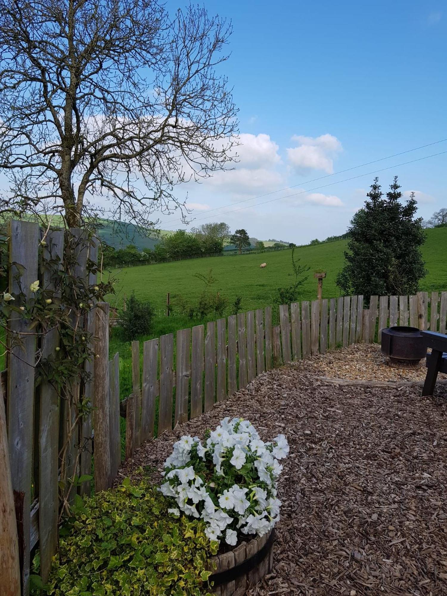 Eco Accommodation Cornflower Craven Arms Zewnętrze zdjęcie