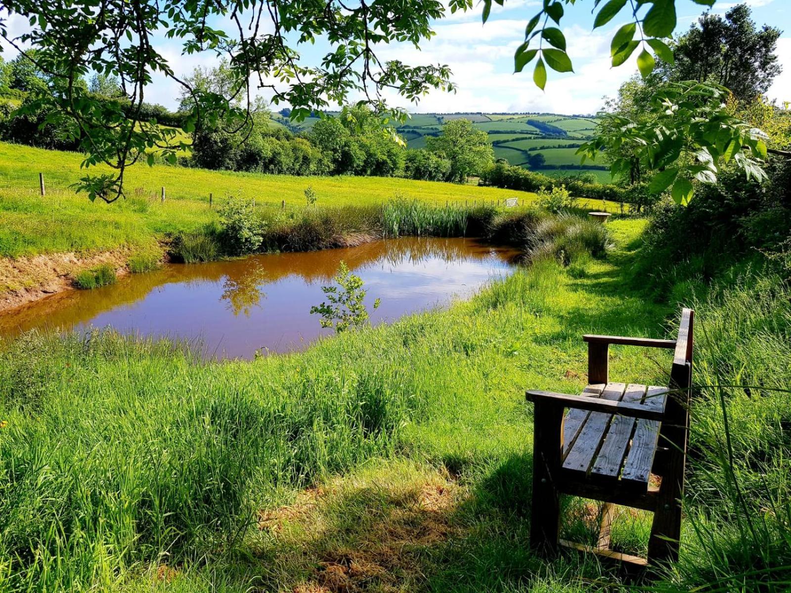 Eco Accommodation Cornflower Craven Arms Zewnętrze zdjęcie